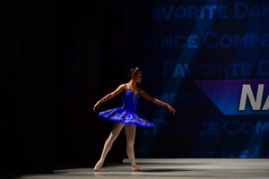 Bridesmaid Variation #2/ Don Quixote