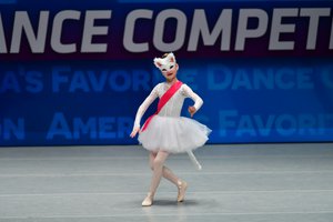 Puss In Boots & The White Cat