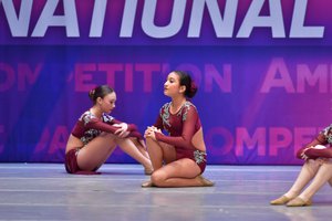 Wild Hearts Can't Be Broken