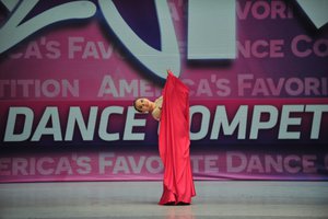 Memories Of A Lily Bloosom