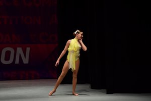 Goodbye Yellow Brook Road