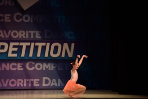 Girls Just Wanna Have Fun