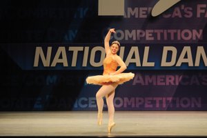 Don Quixote Bridesmaid Variation