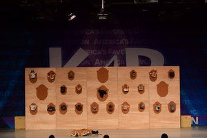 A Hunter's Nightmare