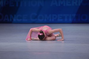 Flight Of The Flamingo