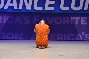 I Have Never Loved Someone