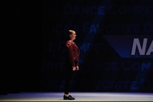 Black Horse And The Cherry Tree