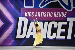 Plum Blossoms In The Cold Winter