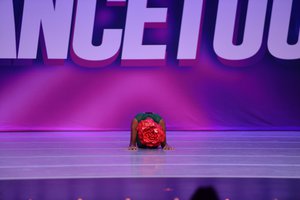 The Rose That Grew From Concrete