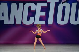 Who Let The Dogs Out