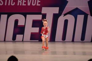 How Much Is That Doggie In The Window?