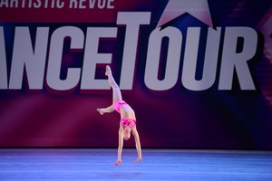 I Wish I Was A Punk Rocker