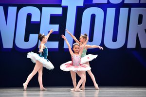 Sleeping Beauty Fairies