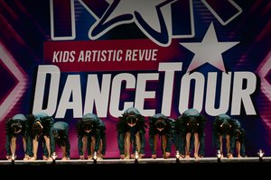 Migration Of The Birds