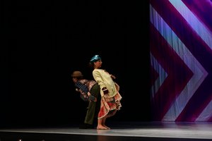 Professional Showbizness