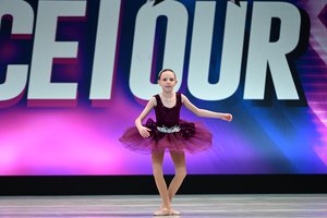 Dance Of The Sugar Plum Fairy