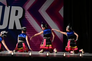 Vibrant Brocade Of Zhuang