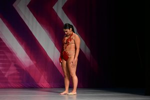 I'll Never Love Again