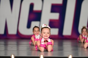 Chihuahua In The Window