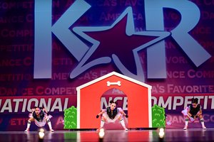 Who Let The Dogs Out