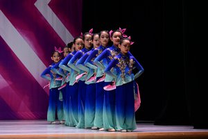 Melody Of Blossoming Spring