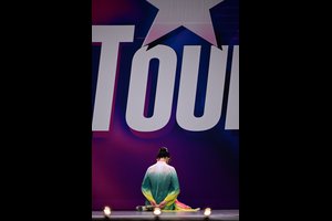 Plum Blossom In The Sky