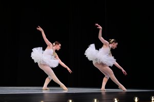 Swan Corps Variation