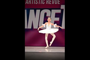 Silver Fairy Variation