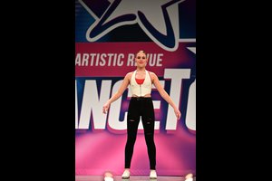 Black Horse And A Cherry Tree