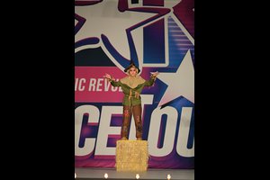 If I Only Had A Brain