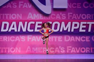 Who Let The Dogs Out