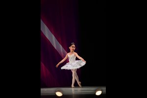 Silver Fairy From Sleeping Beauty