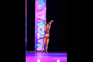 Who Let The Dogs Out?