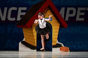 Who Let The Dogs Out