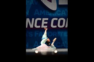 Butterfly Among The Flowers