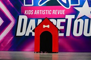 Who Let The Dogs Out