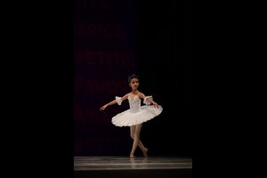 Silver Fairy Variation