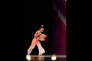 The Peach Blossom Spring