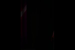 Dream Of The Flower Stream