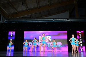 Teach Me How To Shimmy