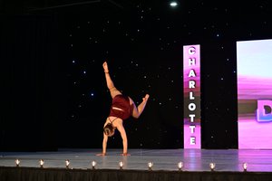 Make You Feel My Love