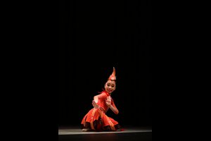 Phoenix Greeting The Sun