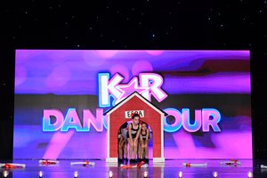 Who Let The Dogs Out