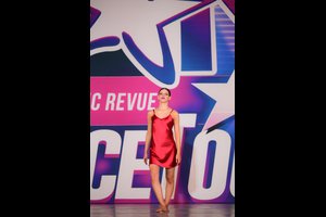 Can't Help Falling In Love