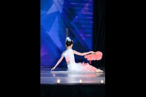 The Bird From The South