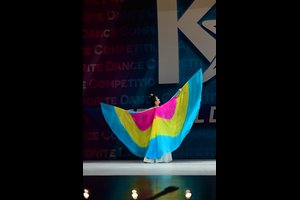 Butterfly In The Mist